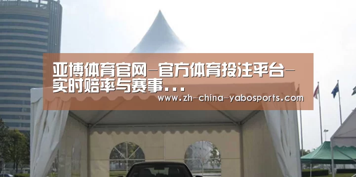 案例标题八