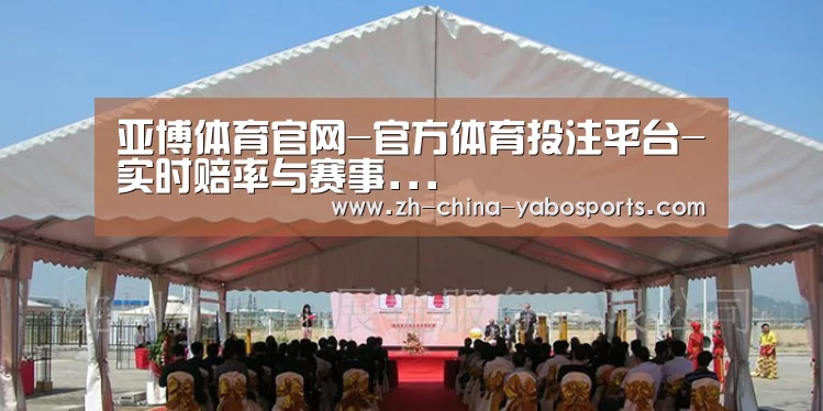 案例标题三