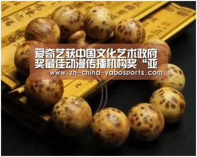 爱奇艺获中国文化艺术政府奖最佳动漫传播机构奖“亚博体育”