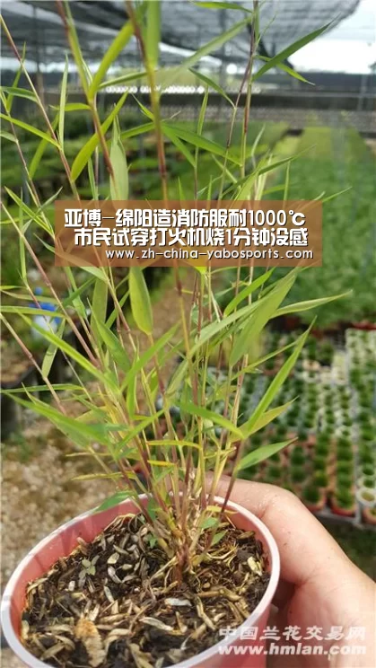 亚博-绵阳造消防服耐1000℃ 市民试穿打火机烧1分钟没感觉(图2) 亚博体育